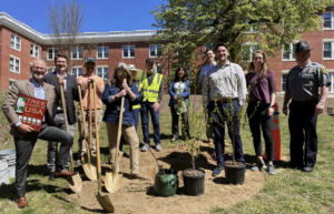 Members of the UMW community celebrate Mary Washington&rsquo;s longtime status as a Tree Campus.