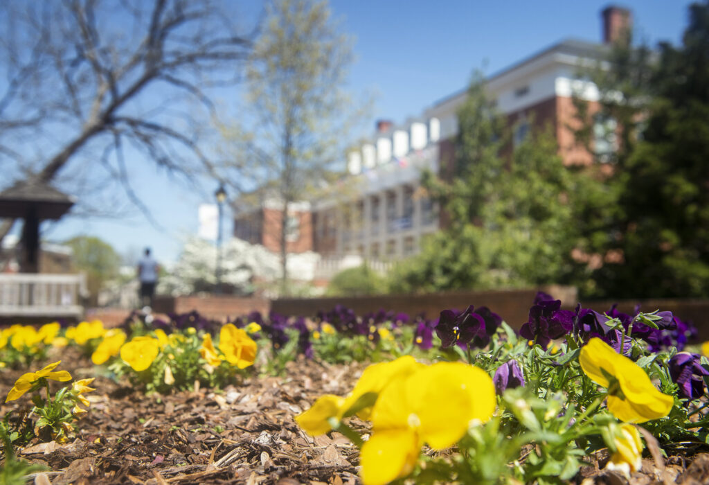 a brick building in the background with colorful flowers in the foreground