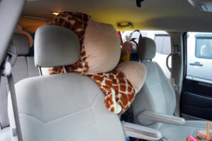A giant stuffed animal waits to be unloaded during UMW Move-In Day. Students packed - and unpacked - everything from mini fridges to shower shoes. Photo by Suzanne Carr Rossi.