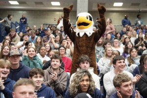photo of UMW Eagle mascot in the stands