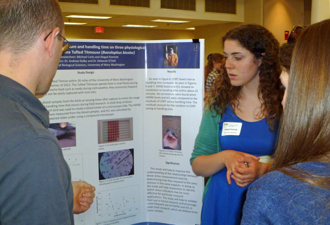 a student stands in front of a poster presenting her work