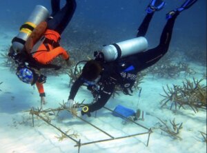 Photo of two students underwater scuba diving in Bonaire