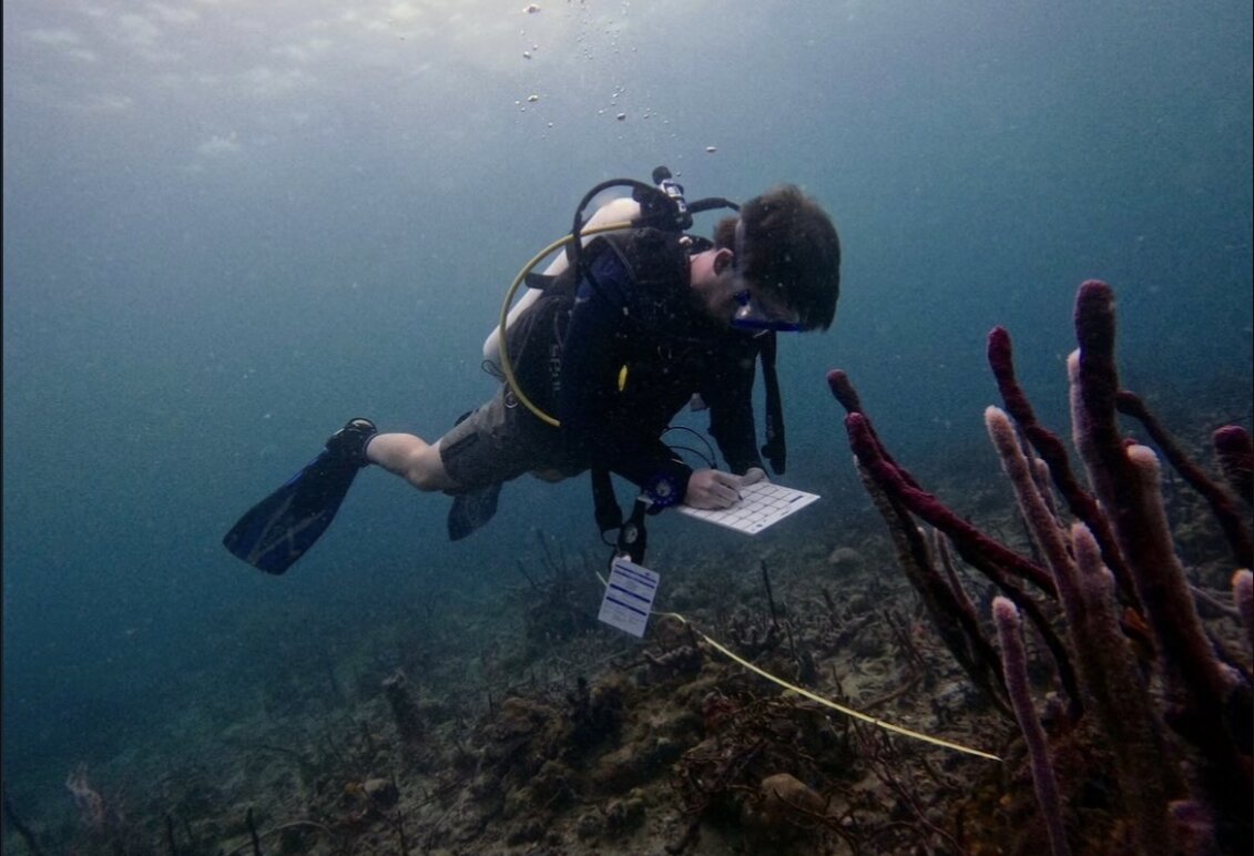 Student underwater scuba diving in Panama
