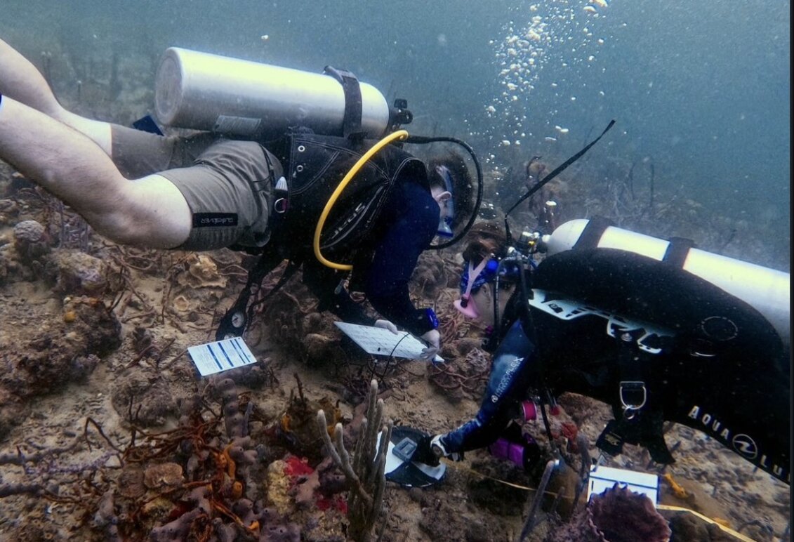 two students Student underwater scuba diving in Panama