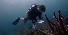 Student underwater scuba diving in Panama