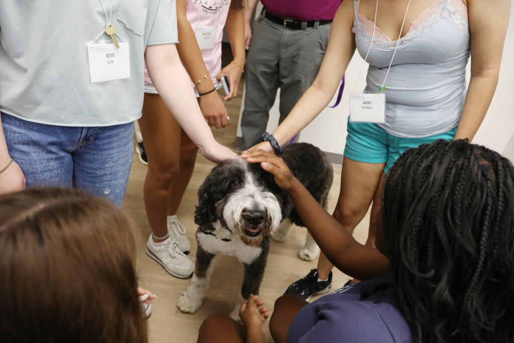 A dog looks at the camera, while several people's hands reach down to pet him