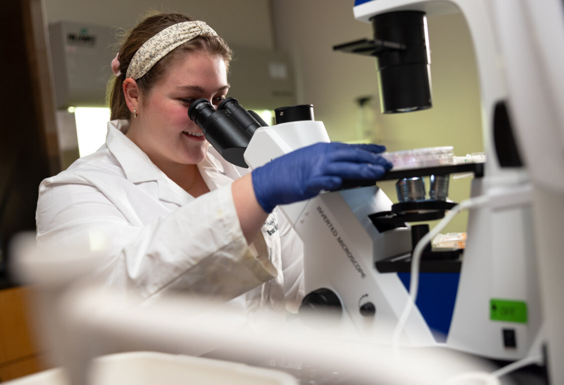 Senior Brooke Martin looks through a microscope during 2026 Summer Science Institute