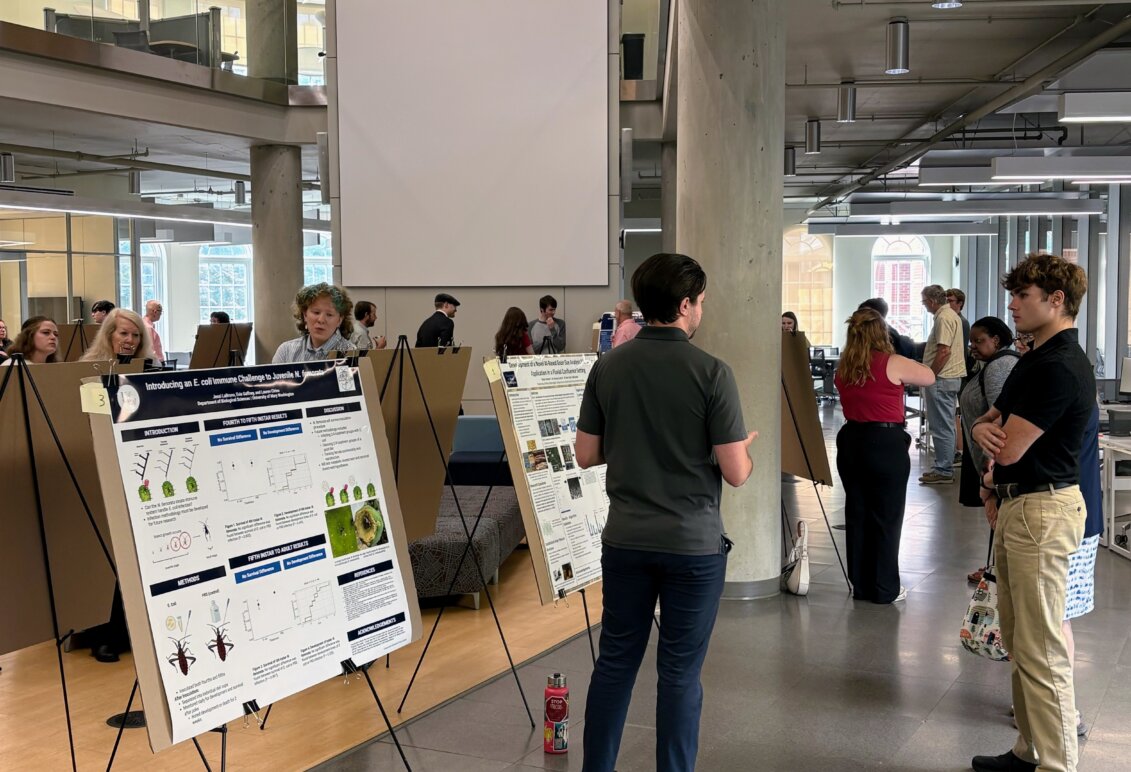 Students stand in front of posters to explain their findings