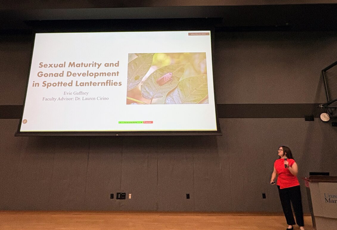 Senior Evie Gaffney giving her second-place oral presentation