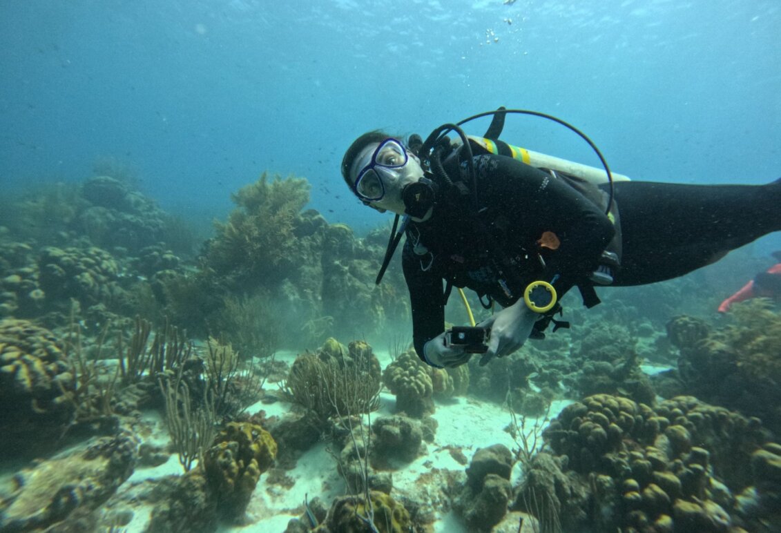 A person in a wetsuit explores underwater