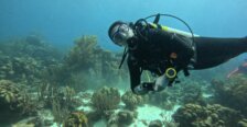 A person in a wetsuit explores underwater