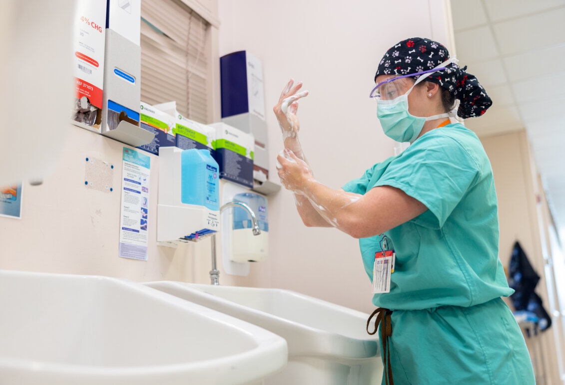 A female doctor in green scrubs with a face mask, clear goggles and hair covering stands in front of a sink scrubbing her hands to prepare to perform surgery. Photo by Parker Michels-Boyce.