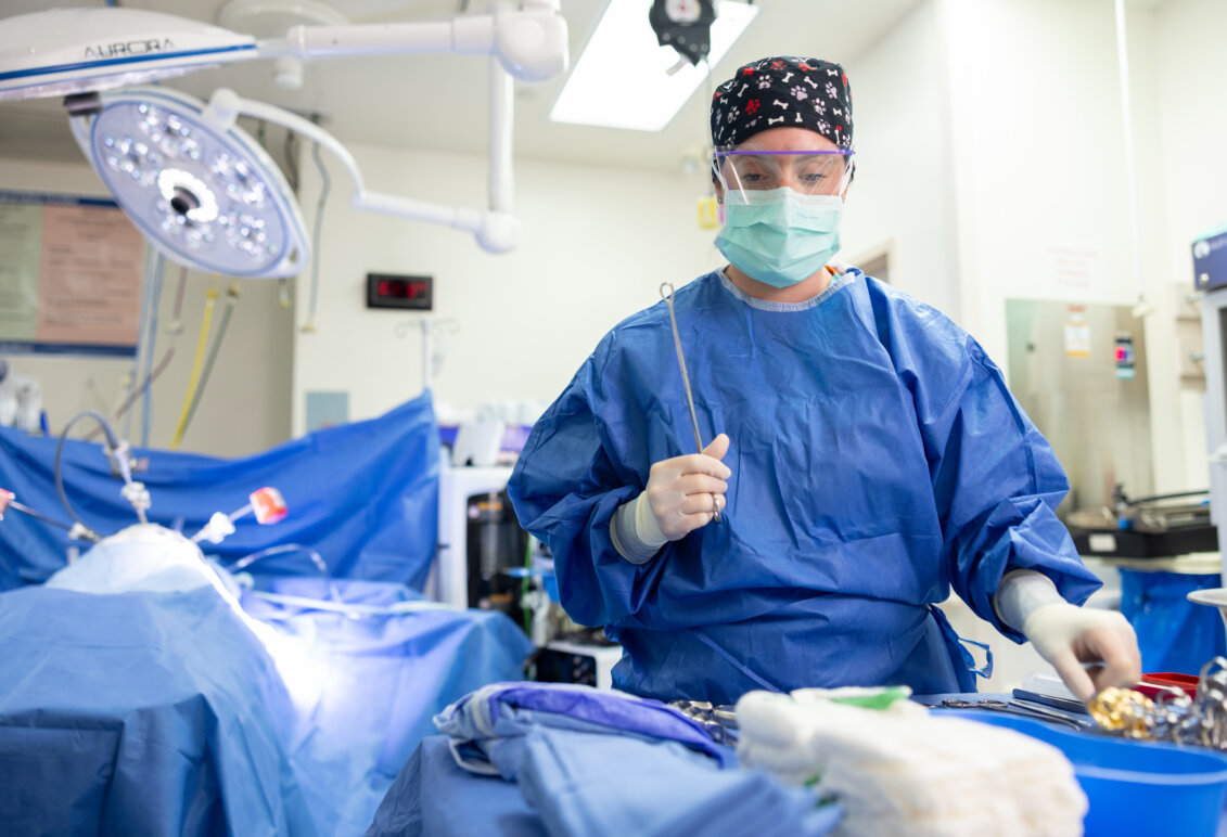 A female doctor in blue scrubs with a face mask, clear goggles and hair covering stands next to a surgical table with an instrument in her hand. Photo by Parker Michels-Boyce.