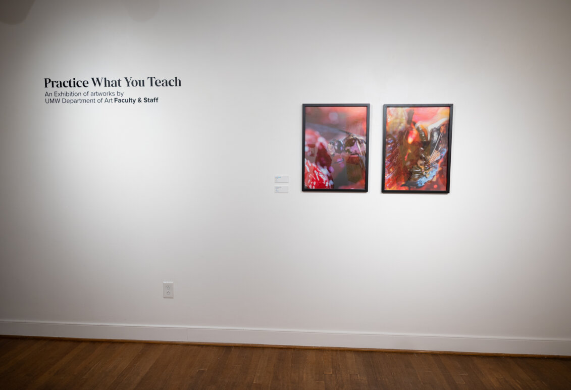 Works of art displayed on walls and sculpture situated around a room