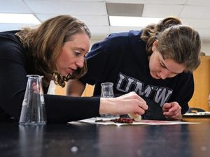 Students working on assignment