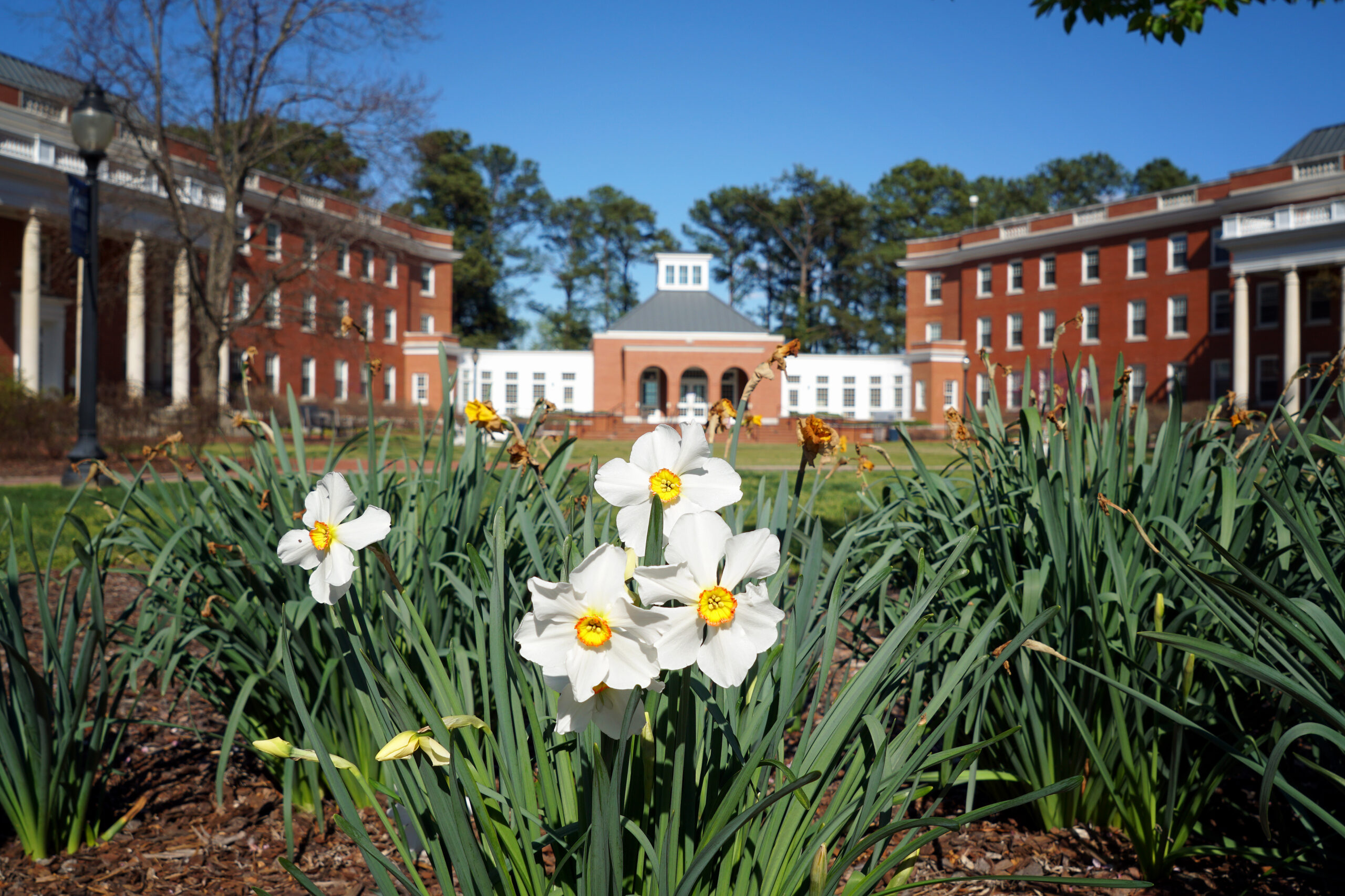 Randolph and Mason hall during the spring time