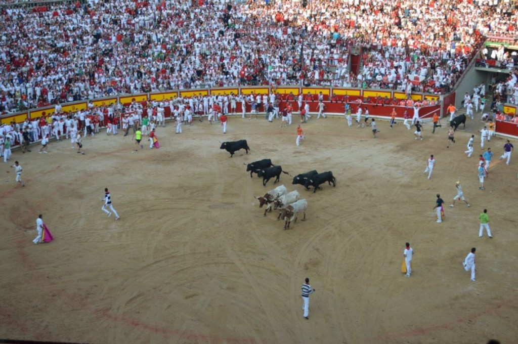 Running of the bulls