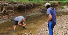 Students studying a shallow stream in a wooded area.