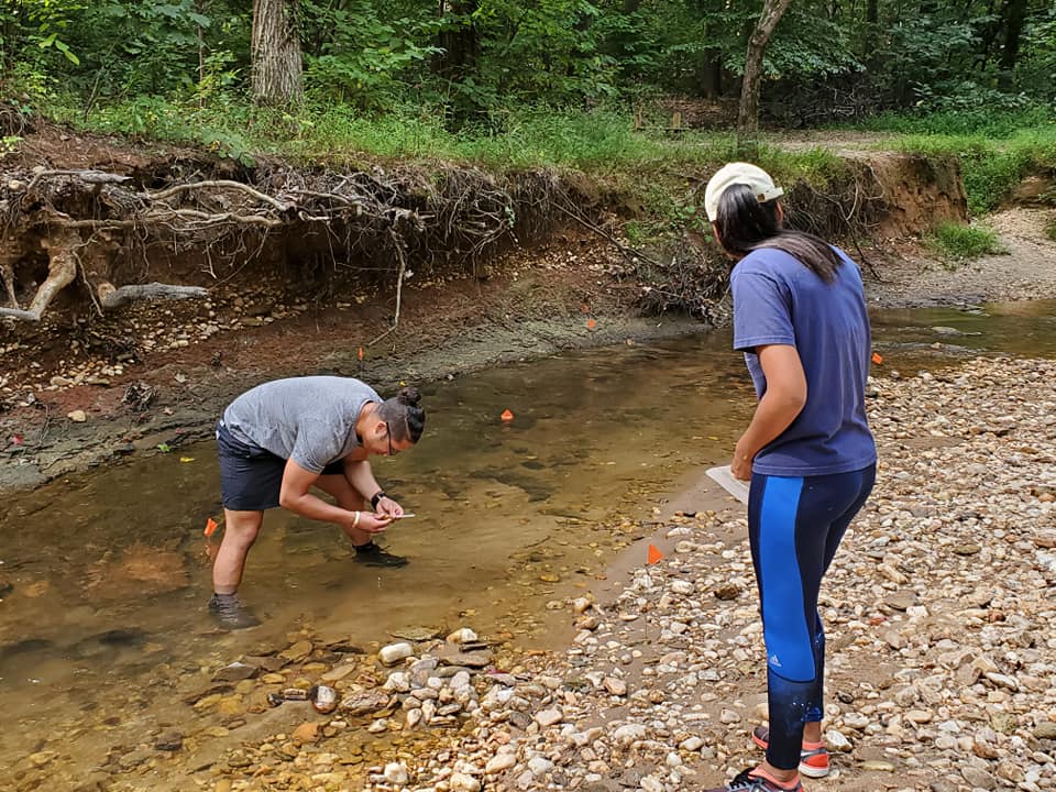 Students studying a shallow stream in a wooded area.