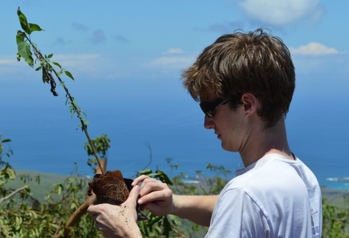 Student helping to plant trees in the Galápagos.