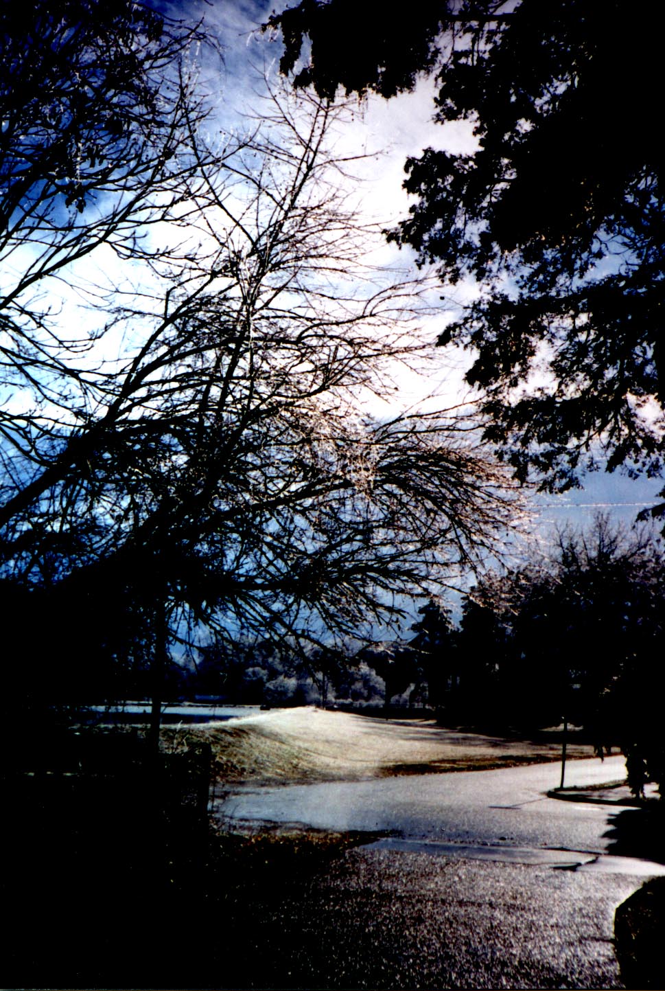 Picture of an ice storm