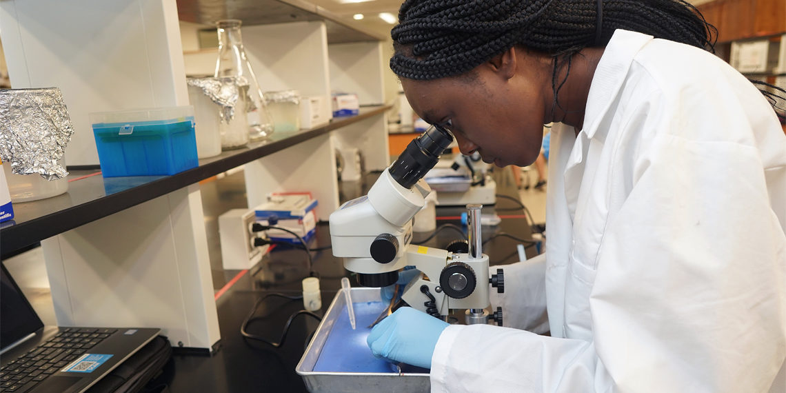 university-of-mary-washington-university-of-mary-washington